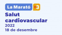 ​Lluís Bernabé o cómo cobrar 92.000 euros brutos este año por dirigir una maratón solidaria en una televisión pública autonómica