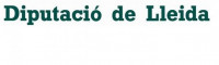 La Diputación de Lleida reparte 117.000 euros al año en ayudas a partidos